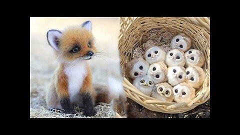 Cute Baby Animals Videos Compilation | Funny and Cute Moment of the Animals #29 - Cutest Animals