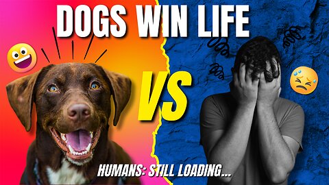 Who Does Life Better? Dogs VS Humans #dog #funny #funnyvideo #pets