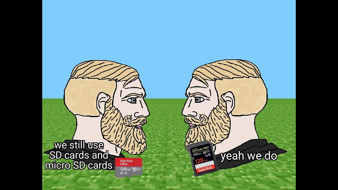 I got a 128 GB micro SD card