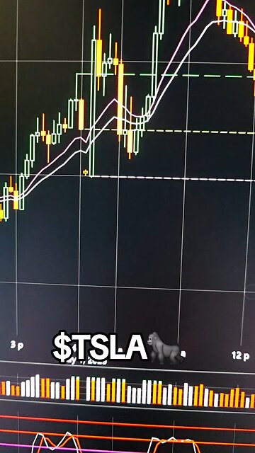 $TSLA🦍