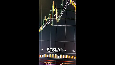 $TSLA🦍