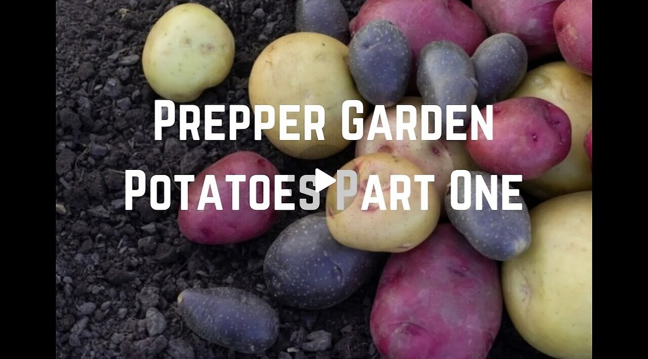 Prepper Garden: Grow Potatoes Part One