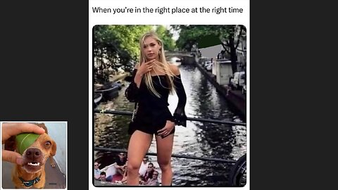 Memes That Will 99.0340% Make You Laugh. (e564)