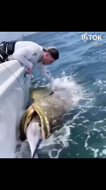 DEEP SEA FISHING🌊🛥️🤿🎣🐋📸IN THE BIG BLUE SEA🚣‍♂️🎣🌊🐠🐟💫