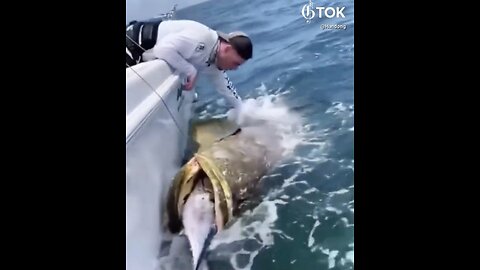 DEEP SEA FISHING🌊🛥️🤿🎣🐋📸IN THE BIG BLUE SEA🚣‍♂️🎣🌊🐠🐟💫