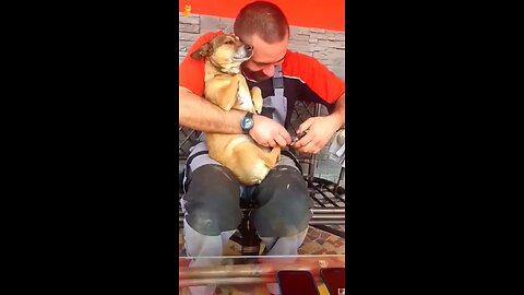 Dogs being afraid of getting their nails cut.🐕😮