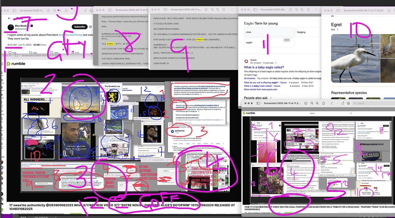3/4 FX G0FF EERASSIN THX DULLINSS @1331/1339 VIDEO 384 SKUM ELON MUSK KODIN B4 SNORTER NOSES USELESS FASST ALSEEP KKKR0WN SNORTERS FLUSHERERSS MI6 1133 RELEASED 1201 KOREKTD 1228: 1/2 DULLINS GOFFS RASSIN SHXTS KODE ON THE SMALL =?DULL@ 1242/13111062025