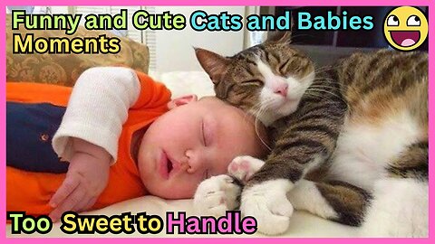 🐱 Funny and Cute Cats & Babies Moments 👶 Too Sweet to Handle ! ❤️