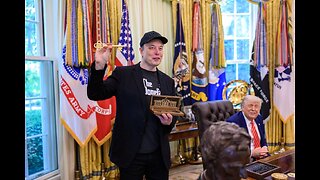 Musk MAGA