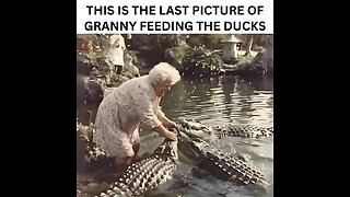 62525 Funny Laugh Out Loud Hilarious Memes Jokes Cartoons