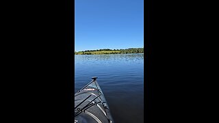 Sunfish