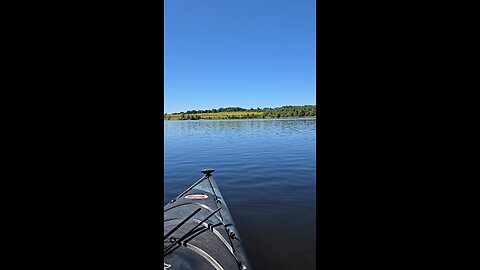 Sunfish