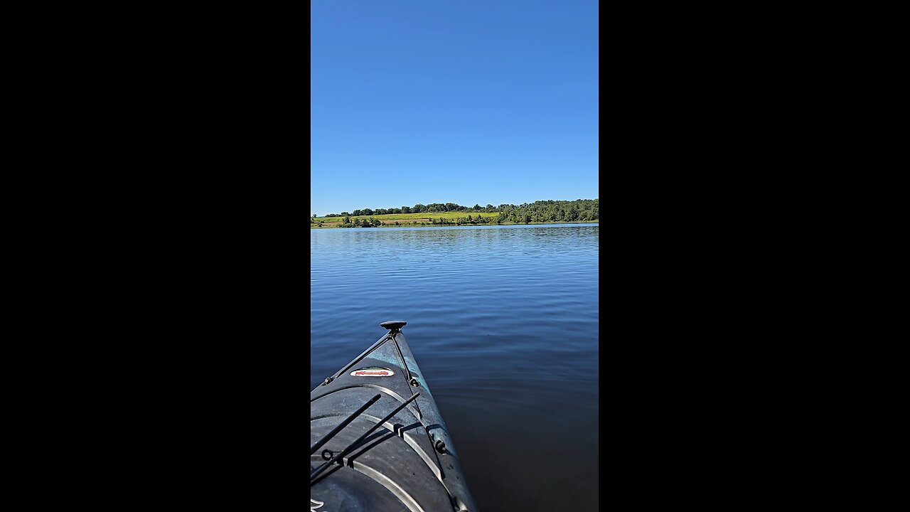 Sunfish