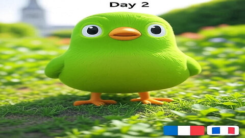 Duolingo Learning French Day 2