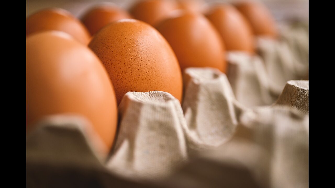 Danish and German Laid Eggs Coming to America?!