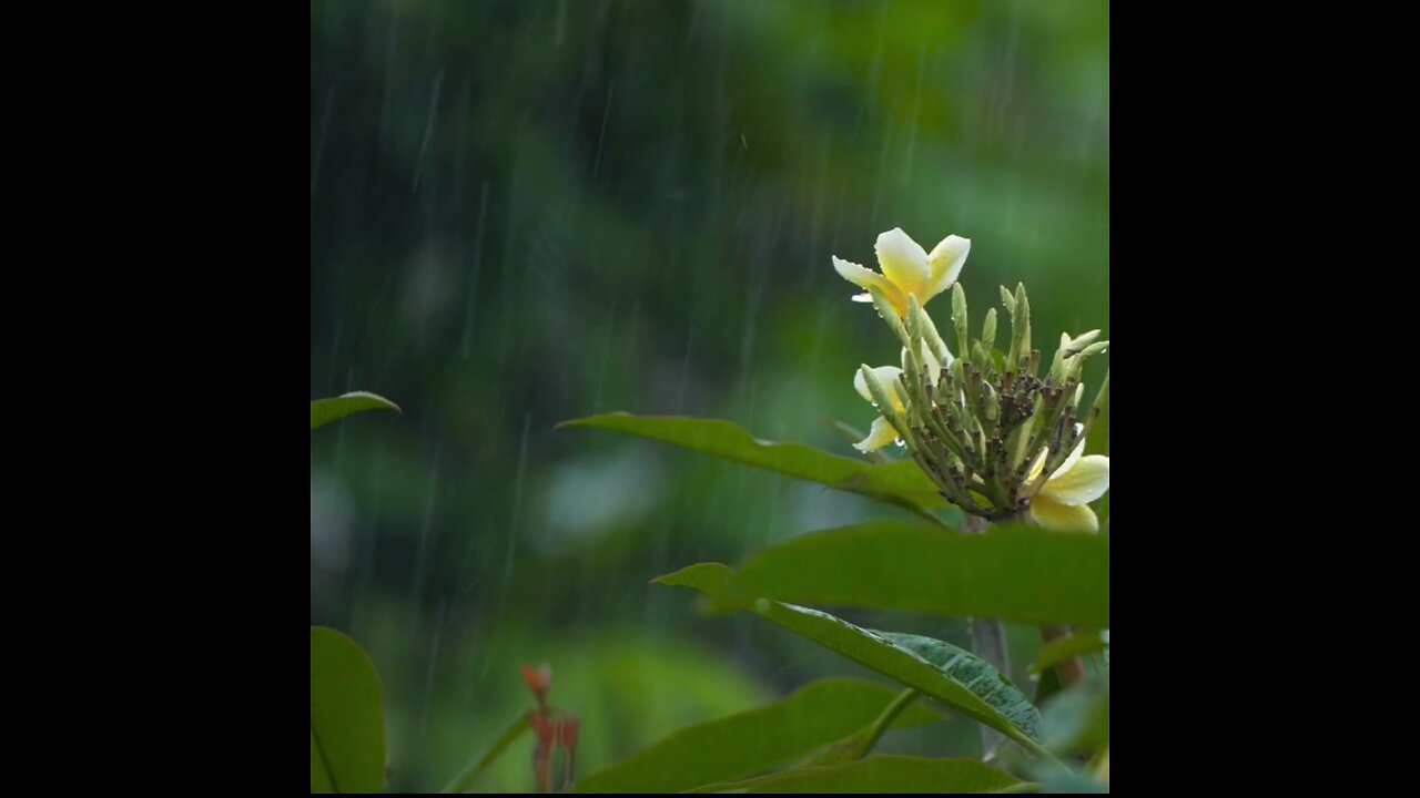 Prayer for April 9th 2025