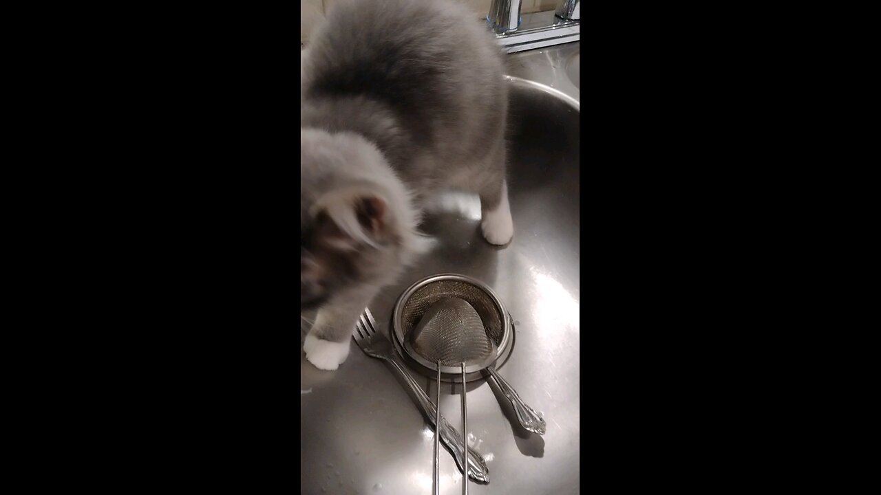 I'm sorry Mummy, just trying to help with the dishes