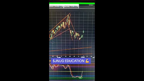 $JNUG💪