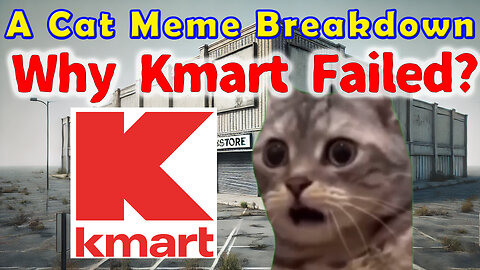 Why Kmart Failed – A Cat Meme Breakdown