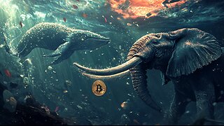 Bitcoin Whales Dance With Bitcoin Elephants.