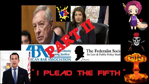 25 07 17 Judicial Hearing Part II Biden Aide I plead the 5th