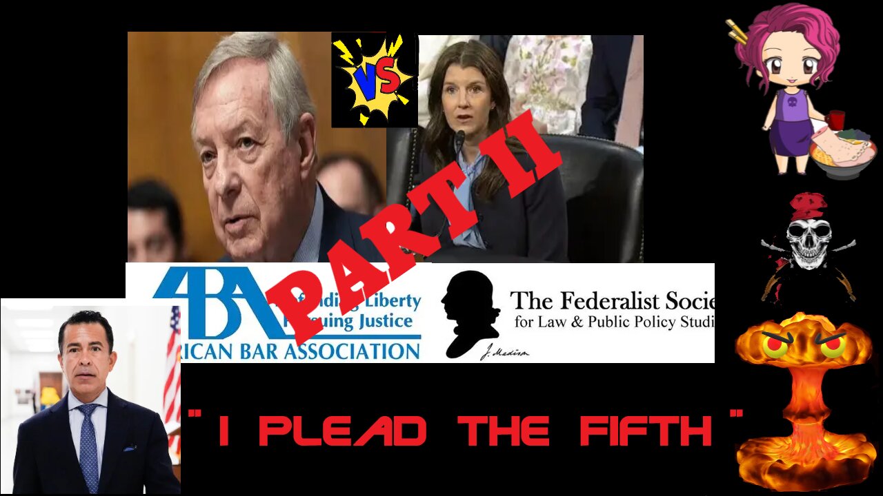 25 07 17 Judicial Hearing Part II Biden Aide I plead the 5th