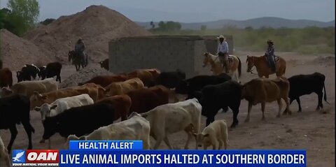 LIVE ANIMAL IMPORTS HALTED AT SOUTHERN BORDER