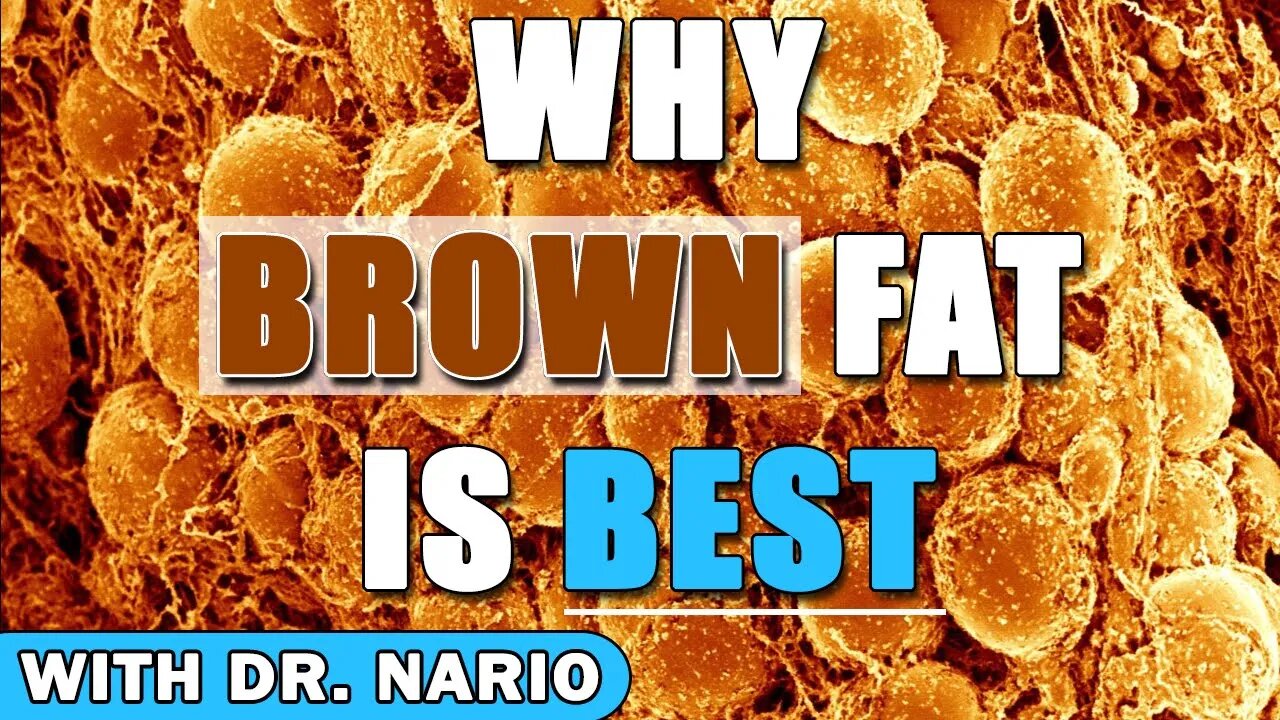 Top Health Expert Shares Why Brown Fat Is Best