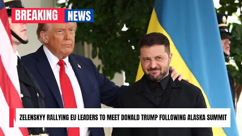 'Stabbed in the back': Zelenskyy rallying EU leaders to meet Donald Trump following Alaska summit