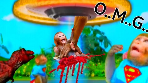 O.M..G what happened 😱||animalht||baby monkey bon bon Kiki moment🐒