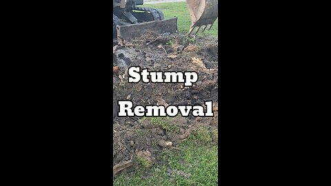 Removing stumps the easy way👍