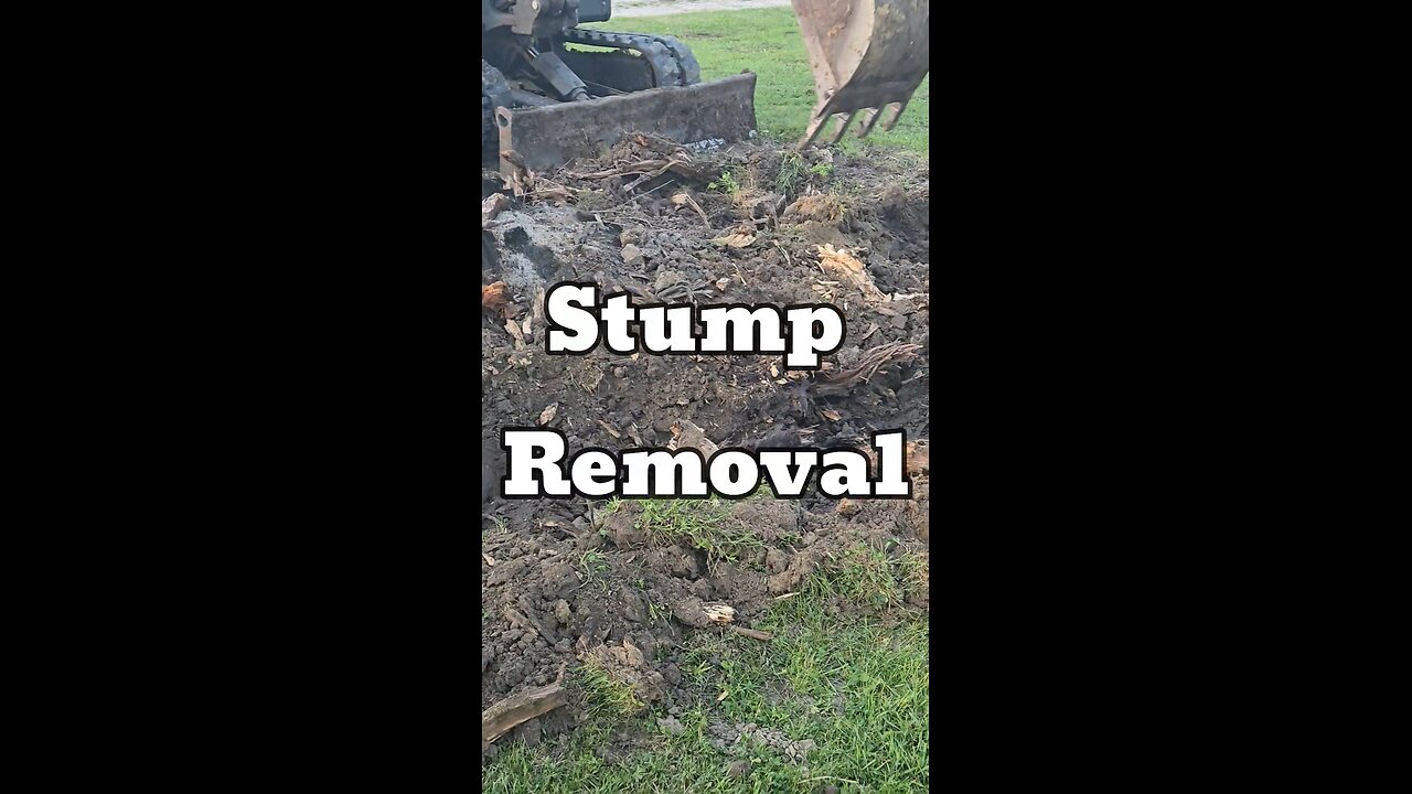 Removing stumps the easy way👍
