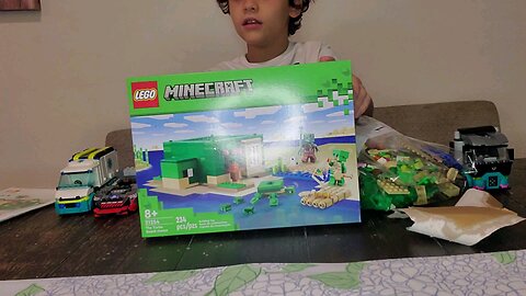 Minecraft turtle house build
