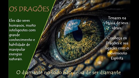 OS DRAGÕES
