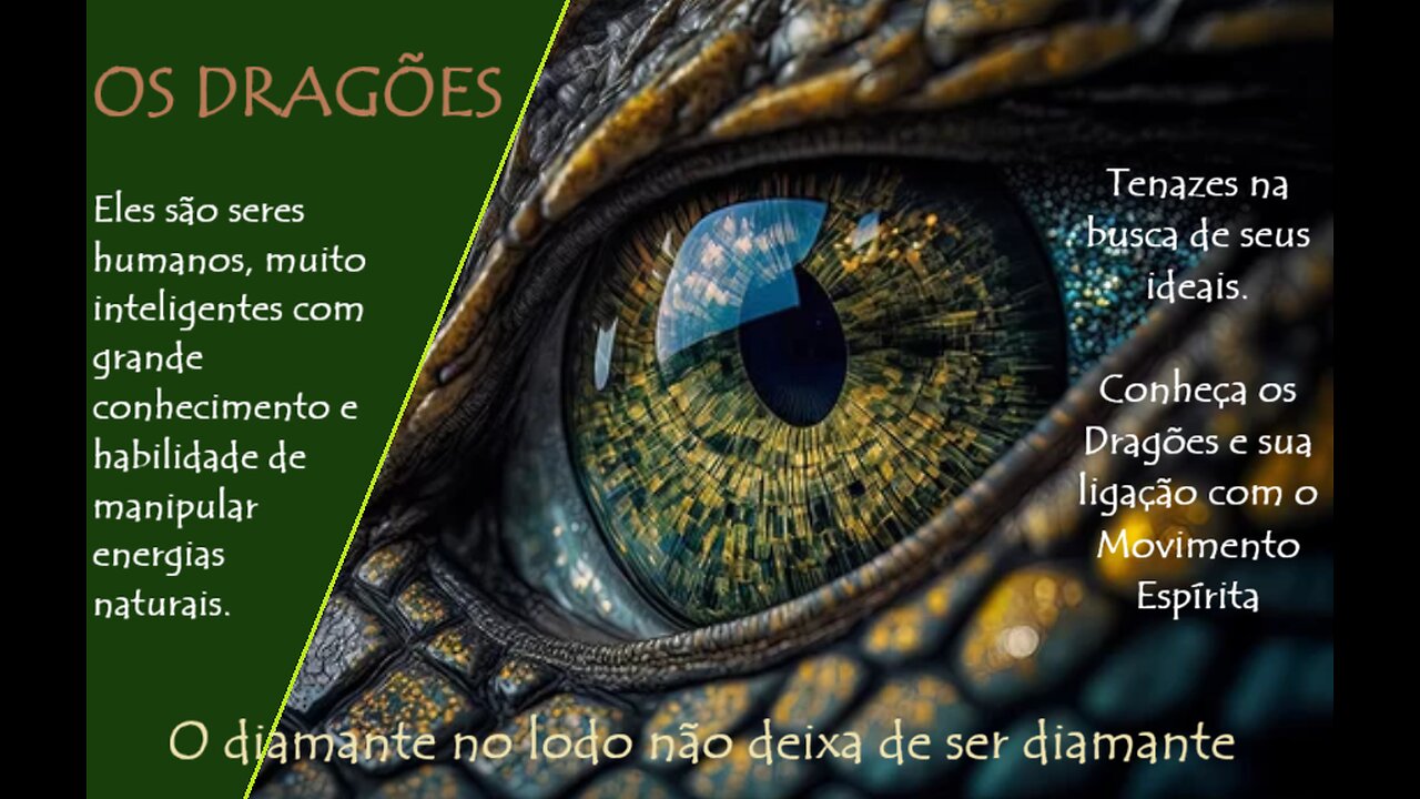 OS DRAGÕES