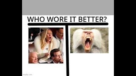 Monday Memes MOCKS Marjorie "Traitor" Greene!