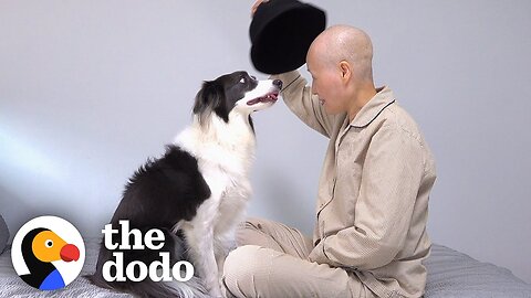 Dog Waits For Months For Mom To Come Home From The Hospital | The Dodo
