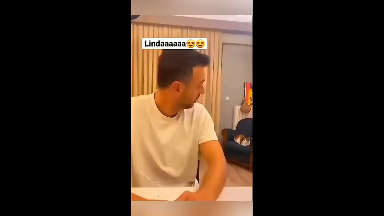 animals are human's friend