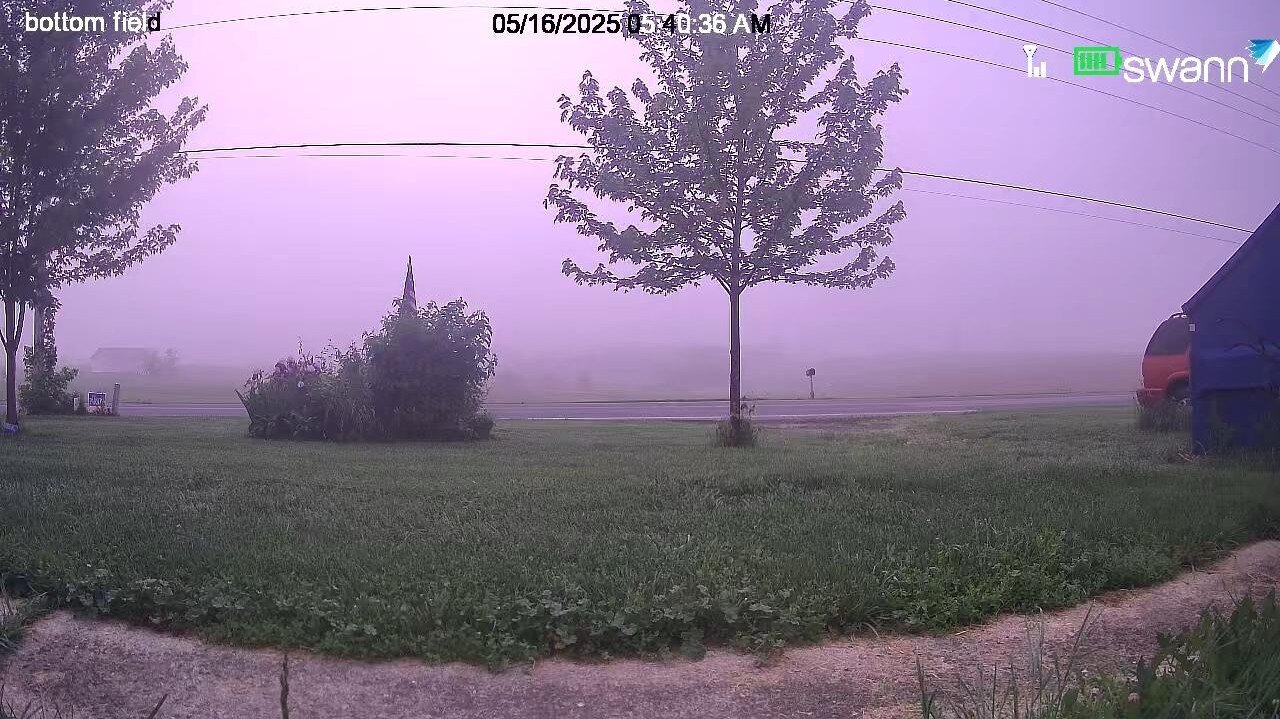 Foggy Friday Morning Livestream!