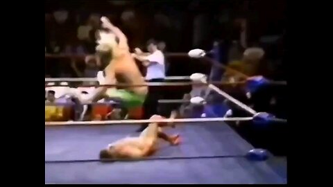 WCW Finishers from 1991