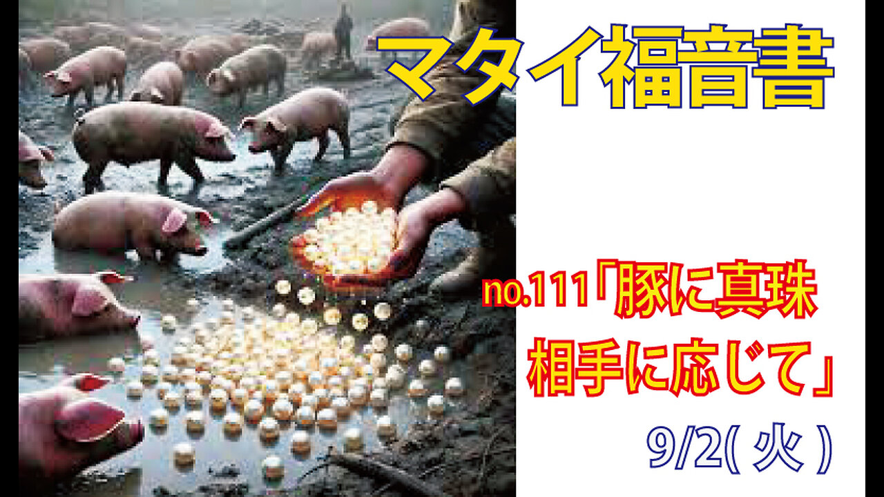 「豚に真珠？」(マタイ7.6)みことば福音教会2025.9.2(火)