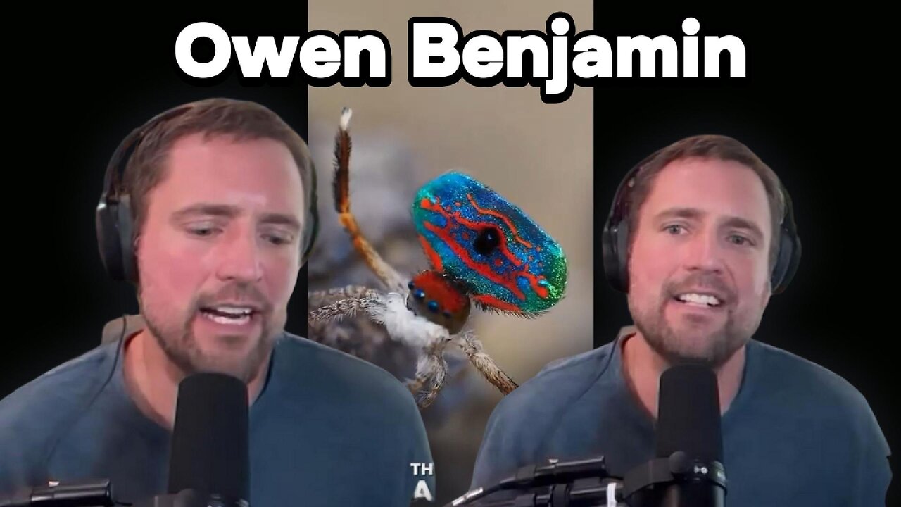 The "Big Bear" Owen Benjamin Guests on the Alex Jones Show