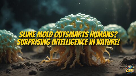 Rethinking Intelligence: Insights From Brainless Slime Mold
