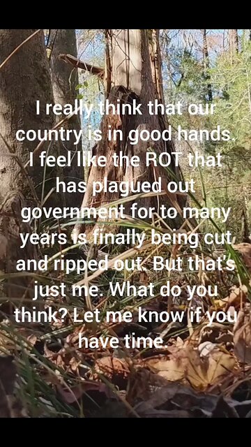 Do you feel like America is in a better place than it was 12-24 months ago.