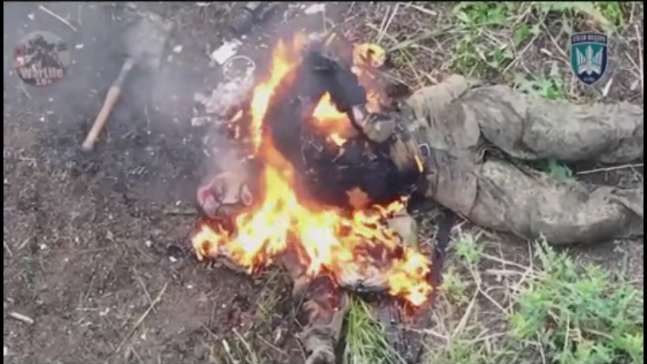 Война в Украине часть 429