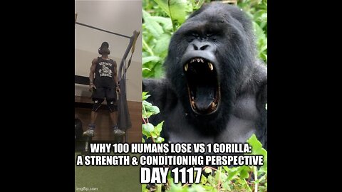 Why 100 Humans Lose to 1 Gorilla: A Strength & Conditioning Perspective (Day 1117)