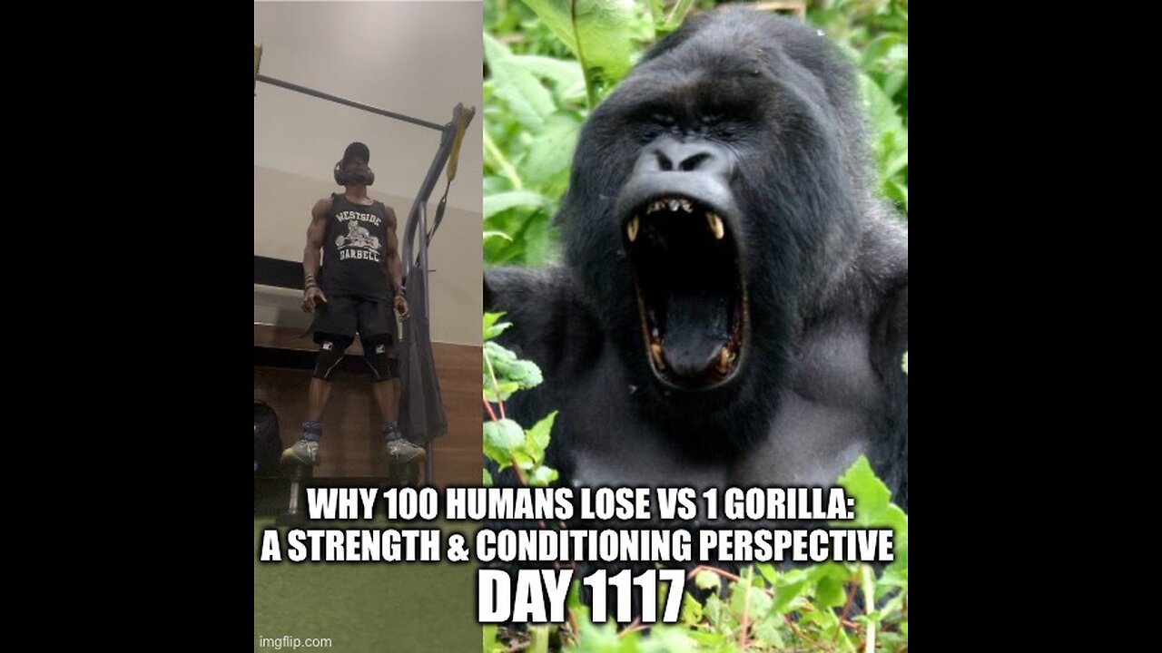 Why 100 Humans Lose to 1 Gorilla: A Strength & Conditioning Perspective (Day 1117)