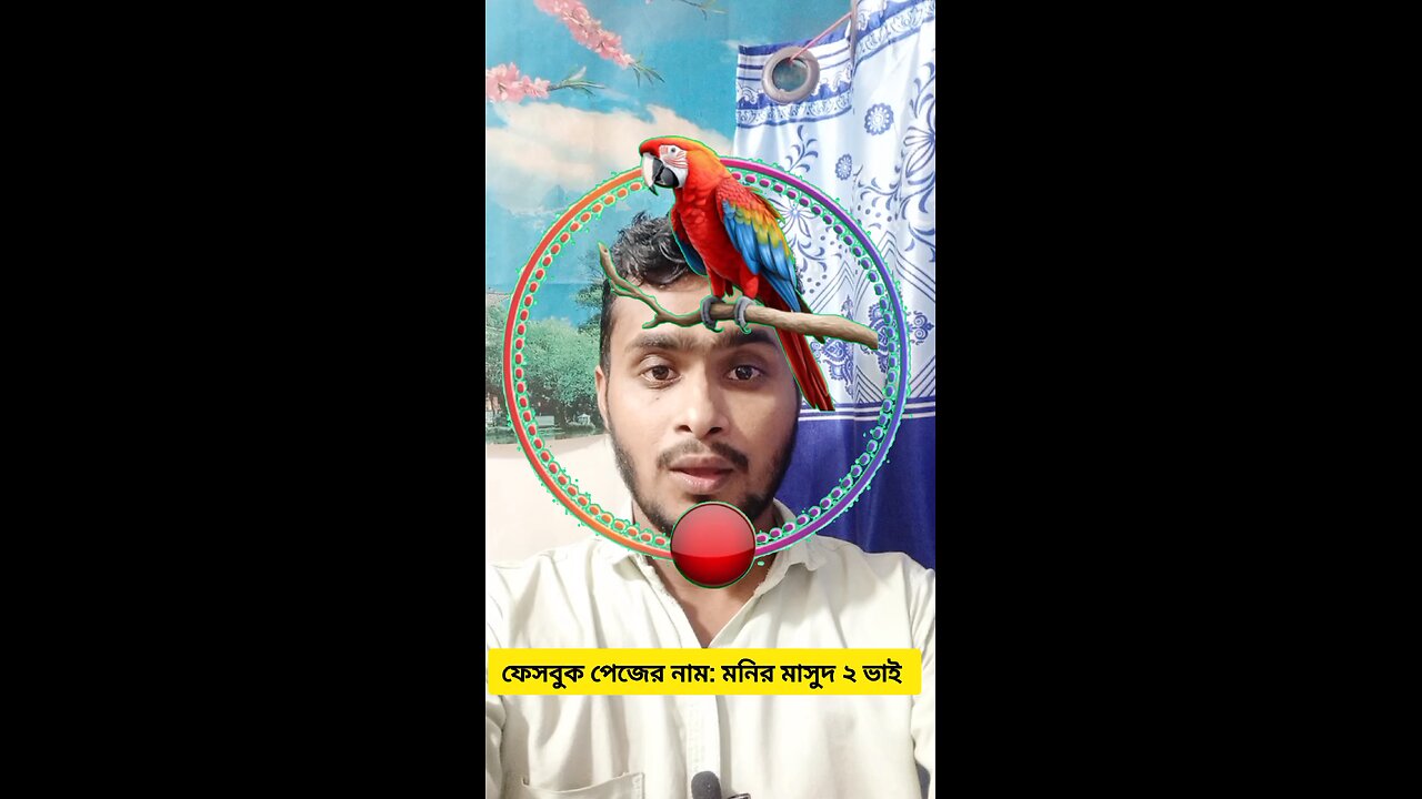 টিয়ার মাথাটি জোড়া লাগান ৮৪ 🧩✅ #puzzle #reels #viral #tending #foryou