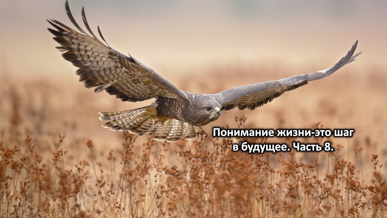Понимание жизни-это шаг в будущее. Часть 8. Understanding life is a step into the future. Part 8.