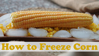 How to Freeze Corn for Long-Term Storage